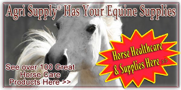 Helping You Care For Your Horse