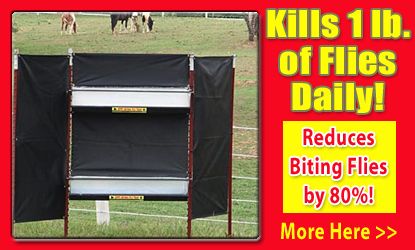 Kill 1 lb of Flies Daily