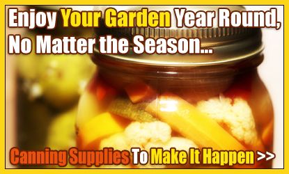 Enjoy Your Garden Year Round with Canning