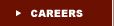 ASC Careers