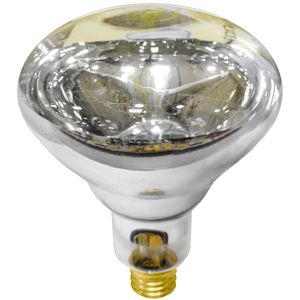 250 WATT HEAT LAMP