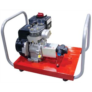 Power Pro 2-1/2 HP Engine w/4-Roller Pump