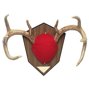 ANTLER MOUNTING KIT