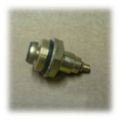 Valve Stem Assy Ferroni Pump