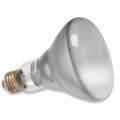Watt Heat Lamp