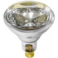 Heat Lamps
