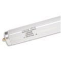 F Fluorescent Bulb