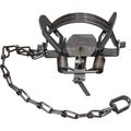 Double Coil Spring Trap