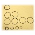 Hydraulic Cylinder Repair Kit Fits Monarch & Chief Cylinders Rk Tr
