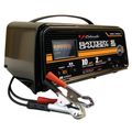 Amp Volt Auto Charger