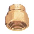 Adapter Nozzle Cap Brass Pk