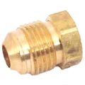 Brass Plug