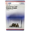 Extension Valve Cap