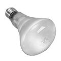 Volt Replacement Bulb Trapezold
