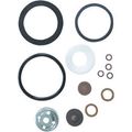 Repair Kit For Chapin Pump Up Sprayer