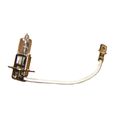 Halogen Bulb
