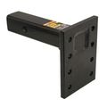 Pintle Mount
