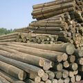 Post Cca Treated Post