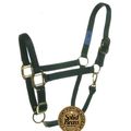 Weanling Halter Red Tag