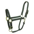 Yearling Halter Green Tag