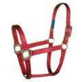 N Large Horse Halter Throat Snap