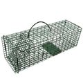 Animal Trap