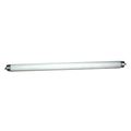 Fluorescent Bulb