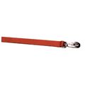 Dog Leashes