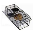 Animal Trap Small Cats Squirrels