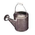 Sprinkling Can Galvanized Quart
