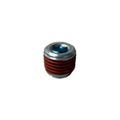 Hex Socket Pipe Plug