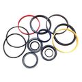 Bore Rod Chief Hydraulic Cylinder Repair Kit