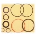 Bore Rod Chief Hydraulic Cylinder Repair Kit