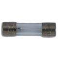 Fuse Amp