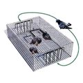 Pigeon Trap Oversize Ups