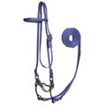 Blue Bridle