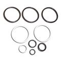 Repair Kit Bore With Rod Fits Grizzley Cylinders