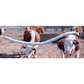 Cattle Rub