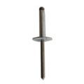 Big Head Pop Rivet
