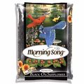 Black Oil Sunflower Bird Seed Lb Bag