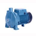 Cast Iron Centrifugal Water Pump Hp