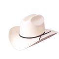 Western Style Hat
