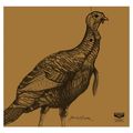 Tk Turkey Silhoutte Kit Pk