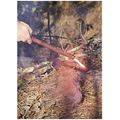FOREST FIRE TORCH