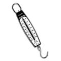 Scales Portable
