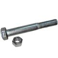 Bolt with Nut, 1/2" x 3"