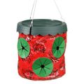 Topsy Turvy Upside Down Pepper Planter