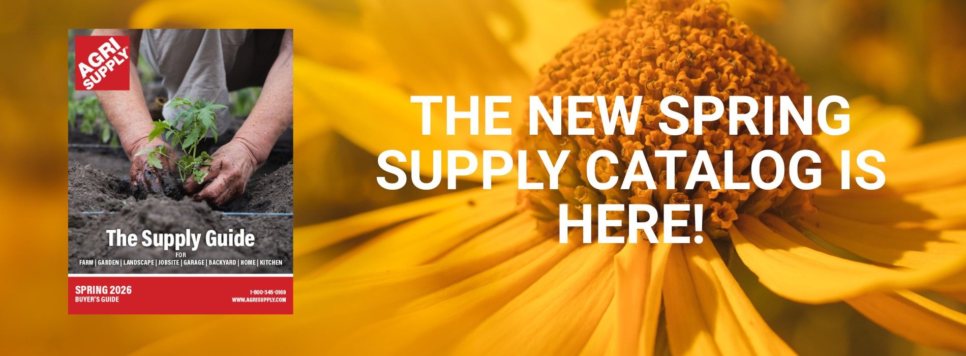 The New Catalog is Here!