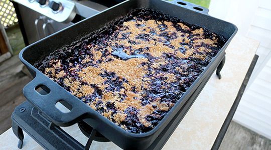 Blog image for Blueberry Crisp