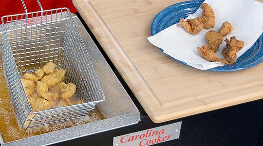 Blog image for Deep Fryer Turkey Bites